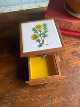 Load image into Gallery viewer, Vintage sieradenkistje
