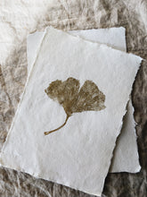 Load image into Gallery viewer, Large Golden Ginkgo A4 imprint (with or without frame)