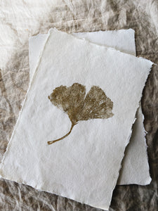 Large Golden Ginkgo A4 imprint (with or without frame)