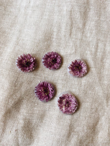 Wax Seal Purple Flower