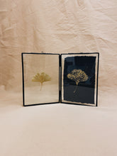 Load image into Gallery viewer, Golden Ginkgo in black double frame (with Indian Fabric or Imprint)
