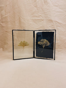 Golden Ginkgo in black double frame (with Indian Fabric or Imprint)