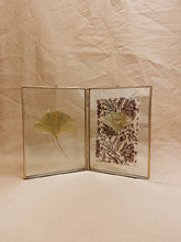 Load image into Gallery viewer, Golden Ginkgo in golden double frame (with Indian Fabric or imprint)