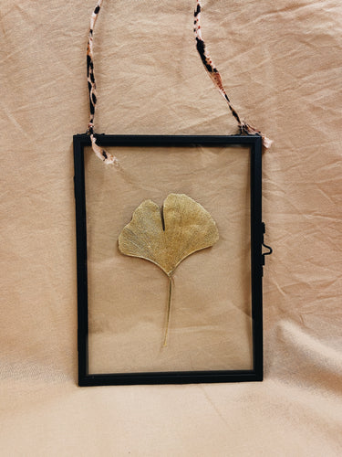 Golden Ginkgo in black hanging frame