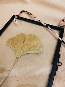 Golden Ginkgo in black hanging frame