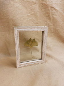 Golden Ginkgo in wood colored frame (with or without Indian Fabric)