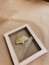 Load image into Gallery viewer, Golden Ginkgo in wood colored frame (with or without Indian Fabric)