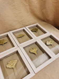 Golden Ginkgo in wood colored frame (with or without Indian Fabric)