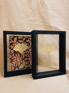 Golden Ginkgo in small black floating frame (with or without Indian Fabric)
