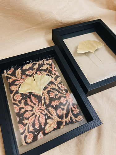 Golden Ginkgo in small black floating frame (with or without Indian Fabric)
