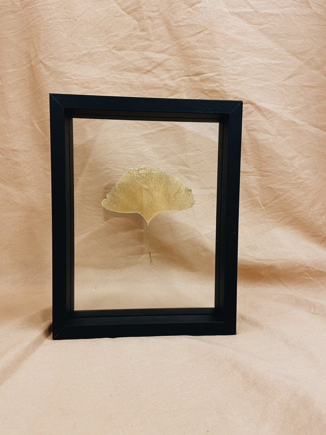 Golden Ginkgo in small black floating frame (with or without Indian Fabric)