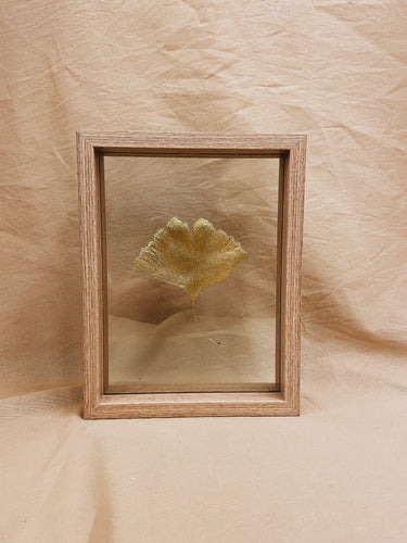 Golden Ginkgo in small wood color floating frame (with or without Indian Fabric)