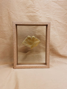 Golden Ginkgo in small wood color floating frame (with or without Indian Fabric)