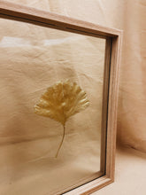 Load image into Gallery viewer, Golden Ginkgo in big wood color floating frame (with or without Indian Fabric)