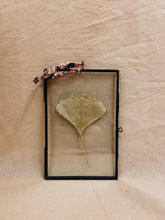 Load image into Gallery viewer, Golden Ginkgo in small black hanging frame (with or without Indian Fabric)