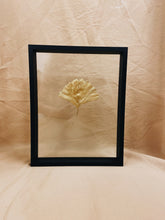 Load image into Gallery viewer, Golden Ginkgo in big black floating frame (with or without Indian Fabric)