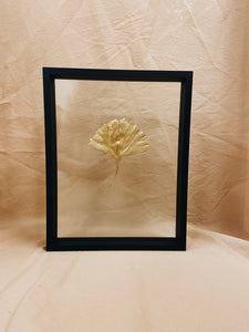 Golden Ginkgo in big black floating frame (with or without Indian Fabric)