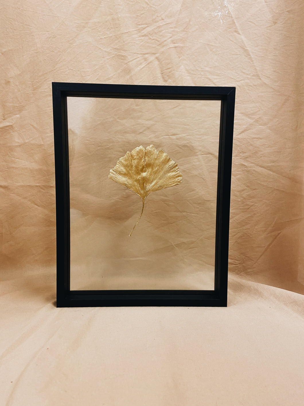 Golden Ginkgo in big black floating frame (with or without Indian Fabric)